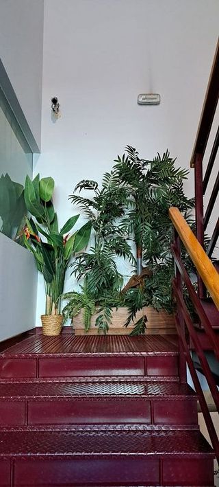 Nave industrial en alquiler en Polígono Industrial Sur en San Sebastián de los Reyes