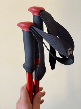 Bastones Black Diamond Trail Sport 100-140cm