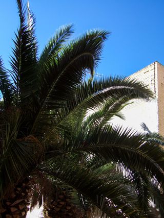 Fujifilm FinePix F10 Plata SuperCCD