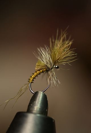 MOSCAS PARA LA PESCA DE TRUCHAS