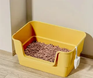 Box per gatti gigante con sabbia