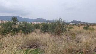Terreno en venta en Vall d´Uixó (la)