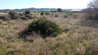 Terreno en venta en Vall d´Uixó (la)