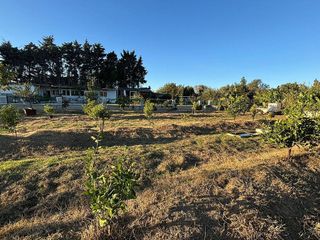 Terreno en venta en Barrios (Los)