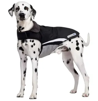 Traje impermeable para perro Buddy&Puppy