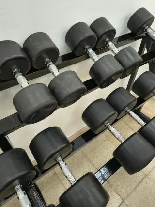 Mancuernas SALTER 20-40kg (11 parejas)