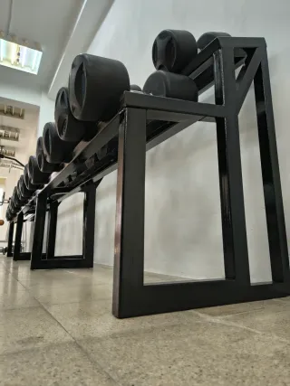 Mancuernas SALTER 20-40kg (11 parejas)