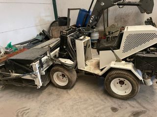 Recoleccion de aceituna