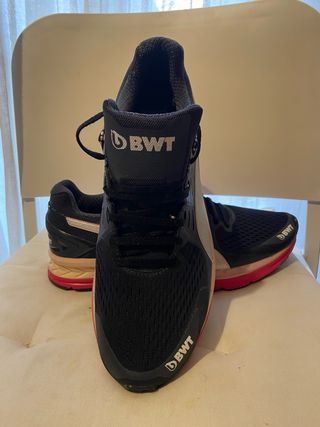 Zapatillas Puma Ignite v2 BWT F1