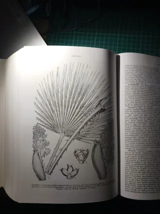 PLANTAS MEDICINALES 1 VOL. DISCORIDES RE