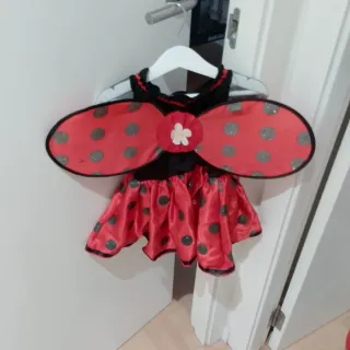 Disfraz Mariquita Niña 2 Años