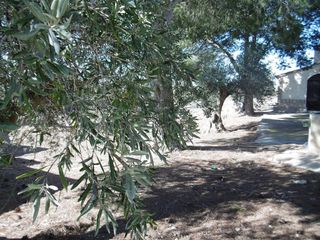 Casa en venta en Yecla