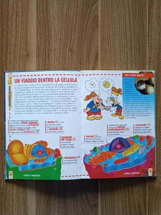 Libro Esplora disney 18 - Vita al Microscopio