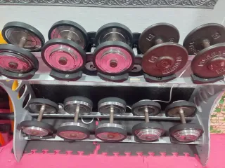 Mancuernas de 10kg a 20kg (Par)