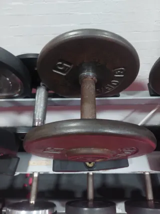 Mancuernas de 10kg a 20kg (Par)