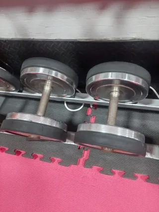 Mancuernas de 10kg a 20kg (Par)