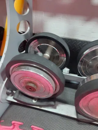 Mancuernas de 10kg a 20kg (Par)