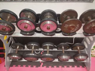 Mancuernas de 10kg a 20kg (Par)