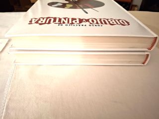 25 DVD y 5 TOMOS de Dibujo y Pintura Nuevos