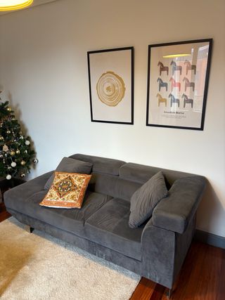 Sofás gris oscuro con 2 cojines