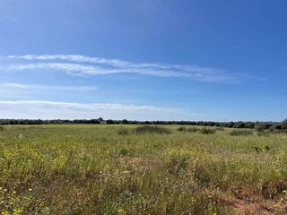 Terreno en venta en Llucmajor Interior en Llucmajor