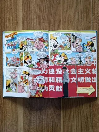 Topogeo Disney Junior 33 Cina 2