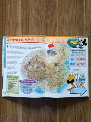 Topogeo Disney Junior 33 Cina 2