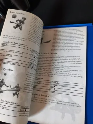 Harry Potter Quidditch Copa del Mundo PS2 PAL ES