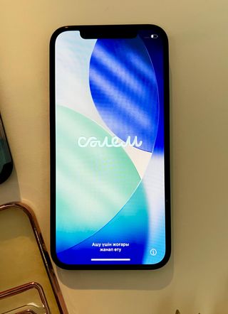 iPhone 12 64GB + Cargador + 8 Fundas