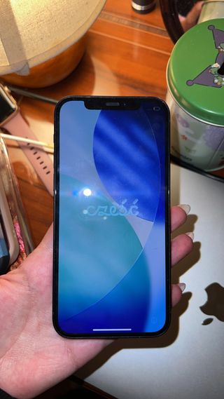 iPhone 12 64GB + Cargador + 8 Fundas