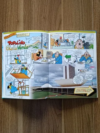 Topogeo 30 - Brasile 2