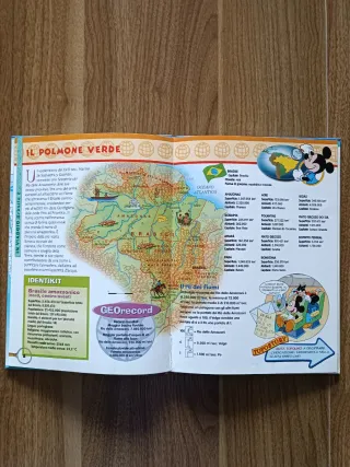 Topogeo 30 - Brasile 2