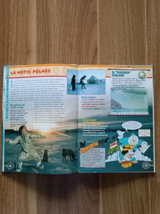 Topogeo 31 - Artide e Groenlandia