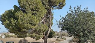 Casa rural en venta en Mojácar ciudad en Mojácar