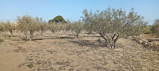 Casa rural en venta en Mojácar ciudad en Mojácar