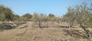 Casa rural en venta en Mojácar ciudad en Mojácar