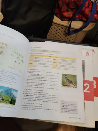 LCL 3 Trim (Lengua Castellana y Literatura ESO)...