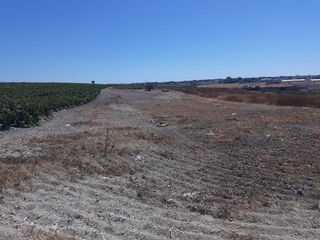 Terreno en venta en Monteolivete-Camino Sevilla en Sanlúcar de Barrameda