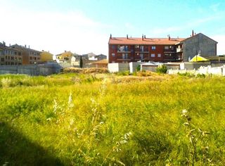 Terreno en venta en Muela (La)