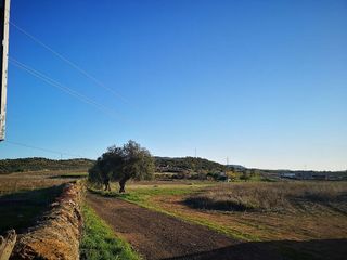 Terreno en venta en Olivenza