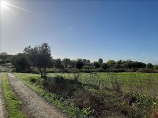 Terreno en venta en Olivenza