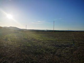 Terreno en venta en Olivenza