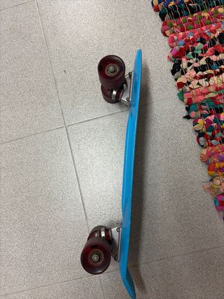 2 Patinetes: Penny Board y Longboard