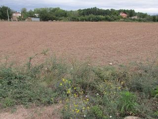 Terreno en venta en Villamediana de Iregua