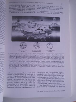 Boletines de la Real Sociedad Española de Historia