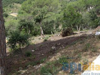 Solar en venta en Mas Pere-Río de Oro en Calonge