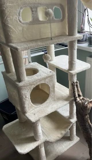 Árbol para Gatos Grande 170cm Nuevo en Caja