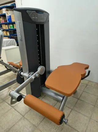 Máquina de gimnasio SALTER flexión piernas tumbado