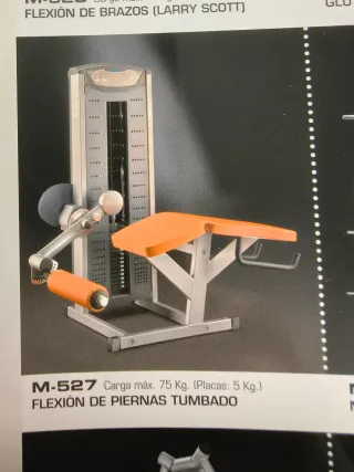 Máquina de gimnasio SALTER flexión piernas tumbado