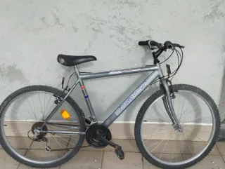 Bicicleta de montaña gris